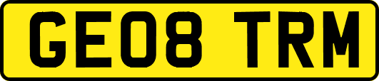GE08TRM