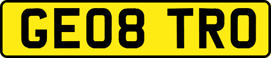 GE08TRO