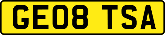 GE08TSA