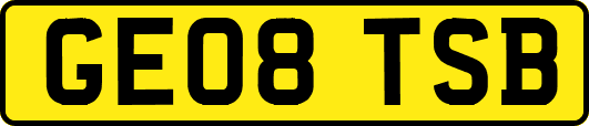 GE08TSB