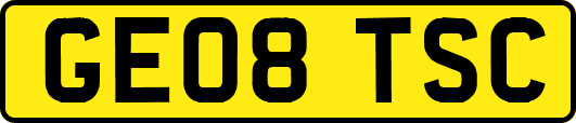 GE08TSC