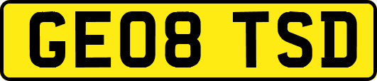 GE08TSD