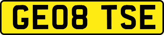 GE08TSE