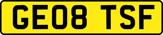 GE08TSF