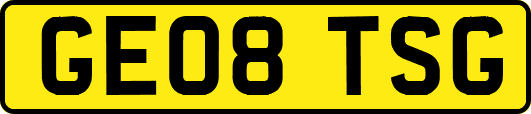GE08TSG
