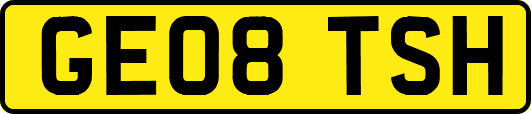 GE08TSH