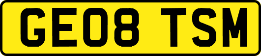 GE08TSM