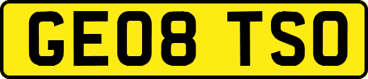 GE08TSO
