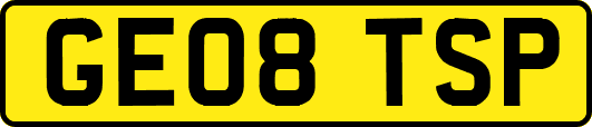 GE08TSP