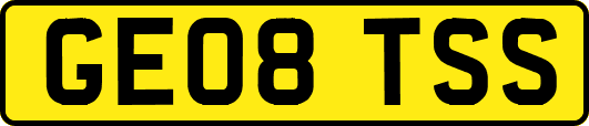 GE08TSS