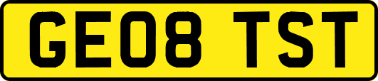 GE08TST