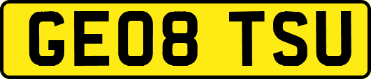 GE08TSU