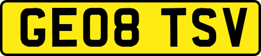 GE08TSV