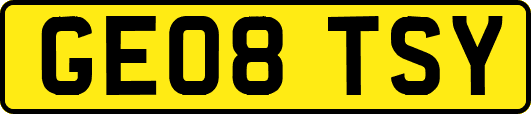 GE08TSY