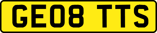 GE08TTS