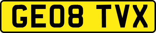 GE08TVX
