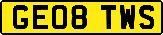 GE08TWS