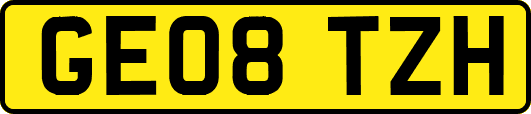 GE08TZH