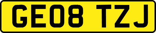 GE08TZJ