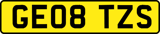 GE08TZS