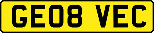 GE08VEC