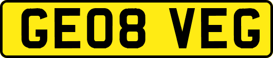 GE08VEG