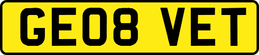 GE08VET