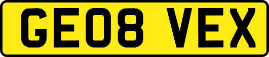 GE08VEX