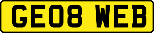 GE08WEB