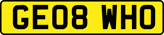 GE08WHO