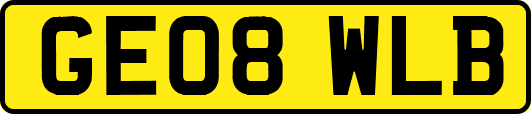GE08WLB