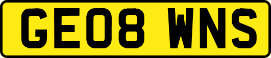 GE08WNS