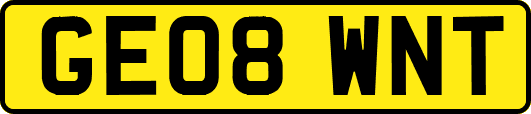 GE08WNT