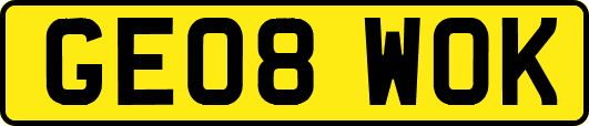 GE08WOK