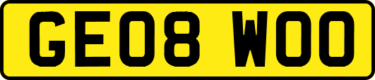 GE08WOO