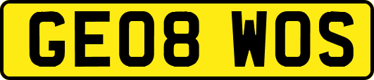 GE08WOS