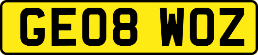 GE08WOZ