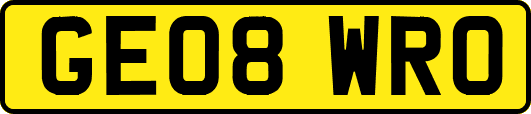 GE08WRO