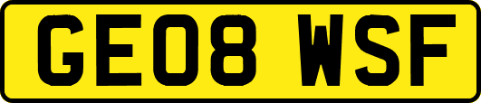 GE08WSF