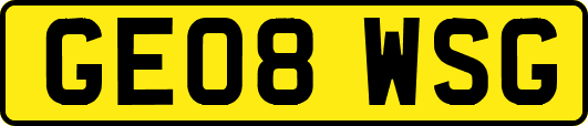 GE08WSG
