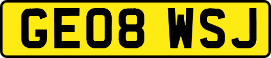 GE08WSJ