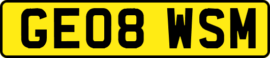 GE08WSM