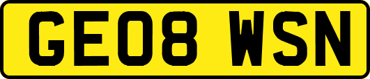 GE08WSN