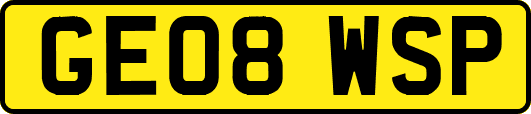 GE08WSP
