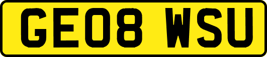 GE08WSU