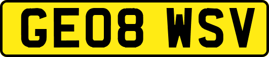 GE08WSV