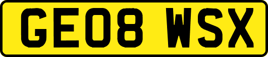 GE08WSX