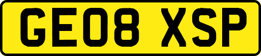 GE08XSP