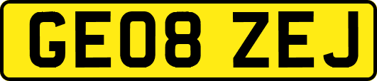 GE08ZEJ