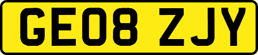 GE08ZJY